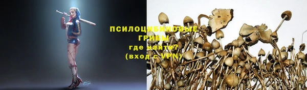 эйфоретик Бронницы