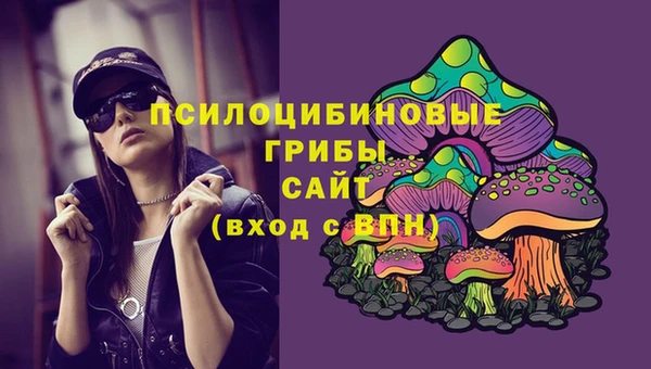 соль ск Бугульма