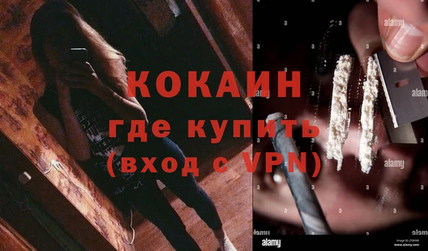 spice Струнино