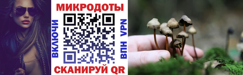 закладка  Гуково  блэк спрут как зайти  Галлюциногенные грибы мицелий 